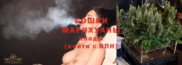 трава Беломорск