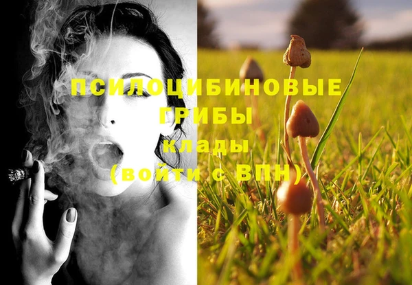 мяу мяу мука Белокуриха