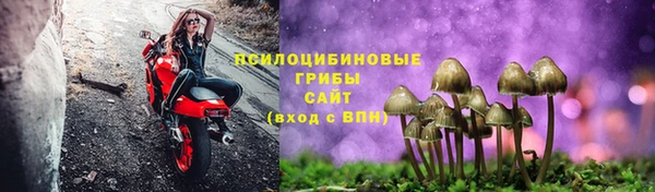 мяу мяу мука Белокуриха