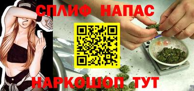 тгк Гатчина